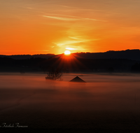 fileadmin/roha/images_galerie/stimmung-Sonne/Sonnenaufgang/SO-AU-HAARM-0030-0512-08-D-roha-Sonne-Sonnenaufgang-Haarmoos-Nebel..png