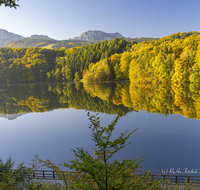 fileadmin/roha/images_galerie/Hintergrund-Download/1280x1024/AN-HOE-HERB-0007-D-roha-Anger-Hoeglwoerth-See-Hochstaufen-Zwiesel-Herbst-Wald-Spiegelung.png