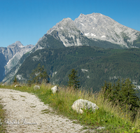 fileadmin/roha/images_galerie/orte_landschaft/Berchtesgaden/Jenner-Schoenau/BGD-JENN-WATZ-WEG-0001-D-roha-Berchtesgaden-Jenner-Steineres-Meer-Watzmann-Weg.png