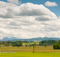 fileadmin/roha/images_galerie/orte_landschaft/Haarmoos/HAARM-0050-D-roha-Abtsdorf-Laufen-Haarmoos-Stadel-Abtsdorf-Saaldorf.png