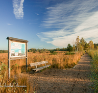 fileadmin/roha/images_galerie/orte_landschaft/Petting/Schoenramer-Moor/PE-SCHOENR-MOOR-0003-6-D-roha-Petting-Schoenramer-Moor-Weg-Herbst-Bank-Tafel.png