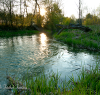 fileadmin/roha/images_galerie/orte_landschaft/Saaldorf/SO-UN-SURH-MITTG-0001-D-roha-Sonnenuntergang-Surheim-Mittergraben-Saaldorf-Wasser-Sonne.png