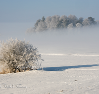 fileadmin/roha/images_galerie/Winter/WINT-HAARM-0012-D-roha-Winter-Haarmoos-Schnee-Rauhreif-Nebel.png