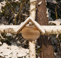 fileadmin/roha/images_galerie/orte_landschaft/Ainring/AINR-MOOR-WIN-0009-D-roha-Ainring-Moor-Winter-Schnee-Wegkreuz-Bank.png