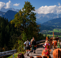 fileadmin/roha/images_galerie/brauchtum/Almabtrieb/Almabtrieb-Wasserfallalm/BR-ALMAB-BGD-OB-SLUZ-00137-D-roha-Almabtrieb-Berchtesgaden-Wasserfallalm-Obersulzberglehen-Fuikl.png