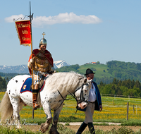 fileadmin/roha/images_galerie/brauchtum/Leonhardiritt/Holzhausen_01/BR-PFRI-HOLZ-0046-D-roha-Brauchtum-Pferde-Umritt-Holzhausen-Leonhardiritt-hl-Georg.png