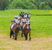 fileadmin/roha/images_galerie/brauchtum/Leonhardiritt/Holzhausen_01/Kaltblutfest/BR-PFRI-HOLZ-KALTBL-0015-1-D-roha-Brauchtum-Kaltblut-Pferd-Kutsche-Holzhausen-Teisendorf-Zehner-Zug.png