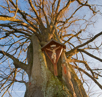 fileadmin/roha/images_galerie/kirche_religion/Teisendorf/KKKM-TEIS-KLEIN-RUECK-0041-5-D-roha-Wegkreuz-Kleinrueckstetten-Linde.png