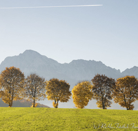 fileadmin/roha/images_galerie/Hintergrund-Download/1280x1024/LANDS-ANG-STEINH-0015-D-roha-Landschaft-Anger-Steinhoegl-Hochstaufen-Zwiesel-Herbst-Allee-Baum.jpg