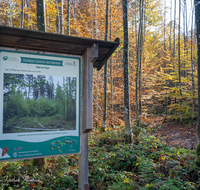 fileadmin/roha/images_galerie/orte_landschaft/Laufen/Osinger-Wald/LAUF-OSI-WA-0001-1020-D-roha-Laufen-Osinger-Wald-Lehrpfad-Hinweistafel.png