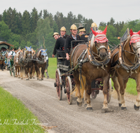 fileadmin/roha/images_galerie/brauchtum/Leonhardiritt/Holzhausen_01/Kaltblutfest/BR-PFRI-HOLZ-KALTBL-2015-1129-02-D-roha-Brauchtum-Kaltblut-Pferd-Kutsche-Holzhausen-Teisendorf-Feuerwehr.png