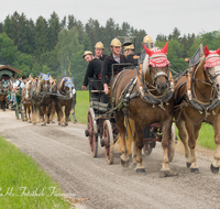 fileadmin/roha/images_galerie/brauchtum/Leonhardiritt/Holzhausen_01/Kaltblutfest/BR-PFRI-HOLZ-KALTBL-2015-1129-02-D-roha-Brauchtum-Kaltblut-Pferd-Kutsche-Holzhausen-Teisendorf-Feuerwehr.png