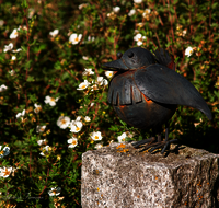 fileadmin/roha/images_galerie/dies_das/LANDA-GART-VOG-0003-D-roha-Landart-Garten-Vogel.png