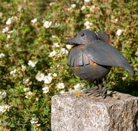 fileadmin/roha/images_galerie/dies_das/LANDA-GART-VOG-0003-D-roha-Landart-Garten-Vogel.png