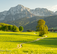 fileadmin/roha/images_galerie/orte_landschaft/Anger/Anger/Anger-Landschaft/LANDS-ANG-STEINH-00014-D-roha-Landschaft-Anger-Steinhoegl-Hochstaufen-Weg.png