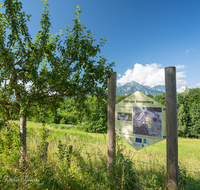 fileadmin/roha/images_galerie/orte_landschaft/Piding/PID-JOH-BIEN-0011-D-roha-Piding-Johannishoegl-Hochstaufen-Zwiesel-Bienenweg.png