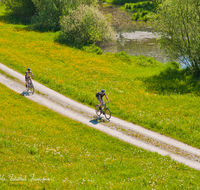 fileadmin/roha/images_galerie/Freizeit-Sport/Mountainbike-Radfahren/SPO-MOUN-TEIS-SUR-0004-D-roha-Sport-Mountainbike-Surspeicher-Teisendorf-Blumenwiese-Feldweg.png