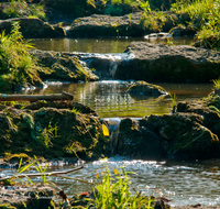 fileadmin/roha/images_galerie/wasser/WAS-BACH-SUR-0004-D-roha-Wasser-Bach-Fischtreppe-Sur-Teisendorf.png