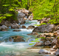 fileadmin/roha/images_galerie/wasser/WAS-WILDB-ZAUB-0011-D-roha-Wasser-Wildbach-Ramsauer-Ache-Zauberwald.png