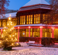 fileadmin/roha/images_galerie/orte_landschaft/Bad-Reich-Kurgarten-Beleuchtung/BAD-REI-KURGAR-WI-0016-D-roha-Bad-Reichenhall-Kurgarten-Christbaum-Weihnachten-Gradierhaus.png