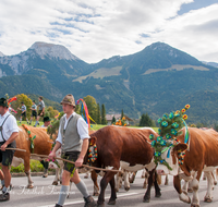 fileadmin/roha/images_galerie/brauchtum/Almabtrieb/Almabtrieb-Koenigssee/BR-ALMAB-BGD-2015-1219-01-D-roha-Brauchtum-Almabtrieb-Koenigssee-Salet-Schoenau-Fuikl-Kuh-Glocke.png