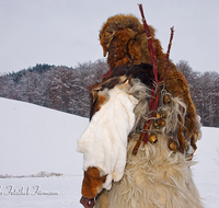 fileadmin/roha/images_galerie/brauchtum/Weihnachten-Buttnmandl/BR-WEIH-BUT-BISCH-0051-D-roha-Brauchtum-Weihnachten-Buttnmandl-Gangerl-Kramperl-Bischofswiesen-Winter.png