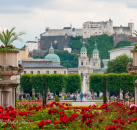 fileadmin/roha/images_galerie/orte_landschaft/Salzburg/Mirabell-Zwergerlgarten/SA-MIRA-GART-0012-01-D-roha-Salzburg-Mirabell-Schloss-Garten-Figuren-Festung-Hohensalzburg-Rosen.png