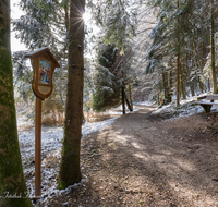 fileadmin/roha/images_galerie/kirche_religion/Anger/Hoeglwoerth-Kreuzweg/KKKM-ANG-HOEGLW-KR-7-0010-D-roha-Kreuzweg-Station-Anger-Hoeglwoerth-Wald.png