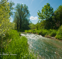 fileadmin/roha/images_galerie/orte_landschaft/Saaldorf/LANDS-SAAL-SUR-MITTG-0008-D-roha-Landschaft-Saaldorf-Surheim-Mittergraben-Wasser.png