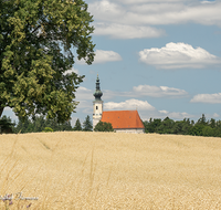 fileadmin/roha/images_galerie/orte_landschaft/Tittmoning/TITTM-ASTEN-0007-D-roha-Tittmoning-Asten-Kirche-Getreide-Feld.png