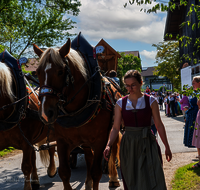 fileadmin/roha/images_galerie/brauchtum/Leonhardiritt/Holzhausen_01/Holzhausen-Ritt-2023/BR-PFRI-HOLZ-2023-1013-1-D-H-roha-Brauchtum-Leonhardiritt-Holzhausen-Teisendorf.png