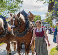 fileadmin/roha/images_galerie/brauchtum/Leonhardiritt/Holzhausen_01/Holzhausen-Ritt-2023/BR-PFRI-HOLZ-2023-1013-1-D-H-roha-Brauchtum-Leonhardiritt-Holzhausen-Teisendorf.png