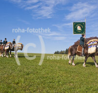 fileadmin/roha/images_galerie/brauchtum/Leonhardiritt/St_Leonhard-Wonneberg/BR-PFRI-WONNE-0049-D-roha-Brauchtum-Pferdeumritt-Wonneberg-St-Leonhard-Pferd-Reiter-Standarte.jpg