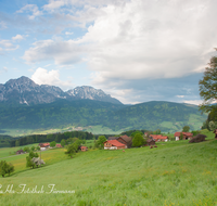 fileadmin/roha/images_galerie/orte_landschaft/Anger/Anger/Anger-Landschaft/LANDS-ANG-BANNH-0004-D-roha-Landschaft-Anger-Piding-Bannhoegl-Fuderheuberg-Hochstaufen-Zwiesel-Teisenberg-Kuh.png