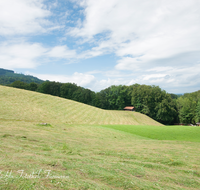 fileadmin/roha/images_galerie/Landwirtschaft/LANDW-EXPON-IRLB-0069-D-P2-roha-Landwirtschaft-exponiert-Anger-Irlberg-maehen-Heu-Motormaeher.png