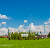 fileadmin/roha/images_galerie/orte_landschaft/Teisendorf/WIENINGER-HOPFENGARTEN-0010-D-roha-Wieninger-Hopfengarten-Teisendorf.png