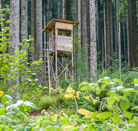 fileadmin/roha/images_galerie/dies_das/LANDA-JAEG-0003-D-roha-Landart-Jaegerstand-Wald-Klostersteig-Teisenberg-Anger.png