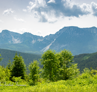 fileadmin/roha/images_galerie/orte_landschaft/Anger/Anger/Anger-Landschaft/LANDS-ANG-TEISB-0001-D-roha-Landschaft-Anger-Teisenberg-Wald-Hochstaufen-Zwiesel.png