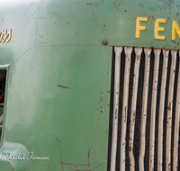 fileadmin/roha/images_galerie/arbeit_technik/TECHN-BULLD-0024-D-roha-Technik-Bulldog-Traktor-Oldtimer.png