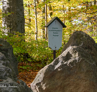 fileadmin/roha/images_galerie/orte_landschaft/Teisendorf/Geo-Park-Lehrpfad/TEI-GEOL-GAR-0020-D-roha-Teisendorf-Geologischer-Garten-Findlinge-Steine-Laub-Herbst.png