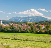 fileadmin/roha/images_galerie/orte_landschaft/Teisendorf/TEI-NORD-WEST-0016-1-D-roha-Teisendorf-Nord-West-Untersberg.png