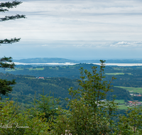 fileadmin/roha/images_galerie/orte_landschaft/Stoisser-Alm/TEI-STO-0005-3-D-roha-Teisendorf-Anger-Stoisseralm-Teisenberg-Chiemgau.png