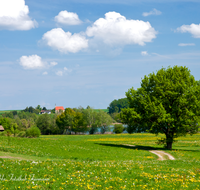 fileadmin/roha/images_galerie/orte_landschaft/Waging/WAG-SEE-TETT-0007-D-roha-Waginger-See-Tachinger-See-Tettenhausen-St-Coloman-Fruehling-Weg.png