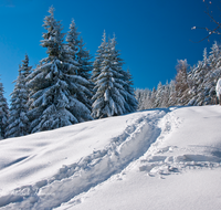 fileadmin/roha/images_galerie/wege/WEGE-WINT-STO-0004-D-roha-Weg-Winter-Stoisseralm-Teisenberg-Teisendorf-Anger-Wald.png