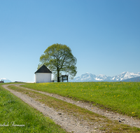 fileadmin/roha/images_galerie/orte_landschaft/Petting/KKKM-PETT-0007-D-roha-Kapelle-Petting-Blumenwiese-Weg-Hochstaufen-Zwiesel-Fruehling.png