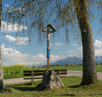 fileadmin/roha/images_galerie/kirche_religion/Saaldorf/KKKM-SAAL-ABTS-0001-2-63-D-roha-Wegkreuz-Abtsdorf-Saaldorf.png