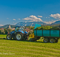 fileadmin/roha/images_galerie/Landwirtschaft/LANDW-MASCH-TEIS-0058-D-roha-Landwirtschaft-Teisendorf-Traktor-Heu-Silage-Untersberg.png