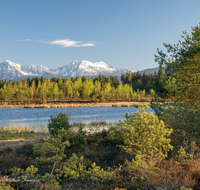 fileadmin/roha/images_galerie/orte_landschaft/Petting/Schoenramer-Moor/PE-SCHOENR-MOOR-0045-07-01-roha-Petting-Schoenramer-Moor-Moorsee-Hochstaufen-Zwiesel-Teisenberg.png