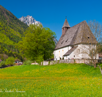 fileadmin/roha/images_galerie/orte_landschaft/Piding/PID-MAUTH-0022-D-roha-Piding-Mauthausen-Kirche-Blumenwiese-Hochstaufen.png