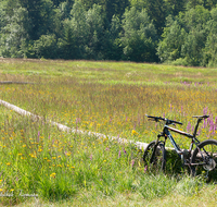 fileadmin/roha/images_galerie/orte_landschaft/Reit_im_Winkl/REIT-IM-WI-WEITS-0013-05-D-roha-Reit-im-Winkl-Weitsee-Herbst-Mountainbike-Blumenwiese.png